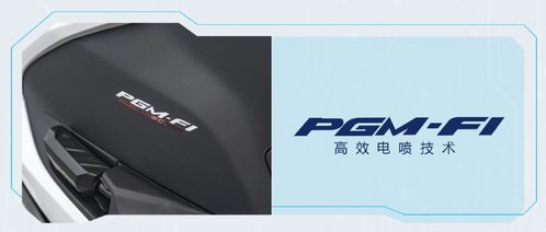 將摩旅進行到底