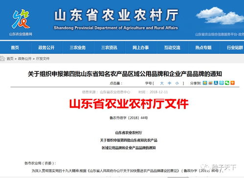 山東啟動(dòng)省級(jí)知名農(nóng)產(chǎn)品品牌申報(bào)競(jìng)賽，推動(dòng)農(nóng)業(yè)品牌化發(fā)展