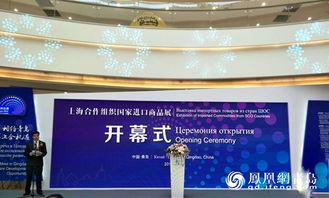 上合組織國(guó)家進(jìn)口商品展在青島成功舉辦，促進(jìn)區(qū)域經(jīng)濟(jì)合作新機(jī)遇